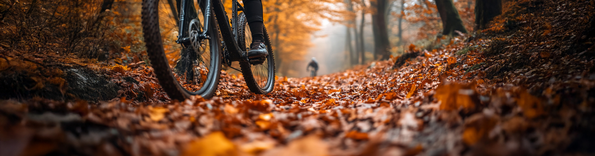 Fietsspeciaalzaak Maddex